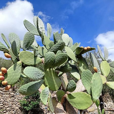 Vila Le Drupe Chiavari Exteriér fotografie