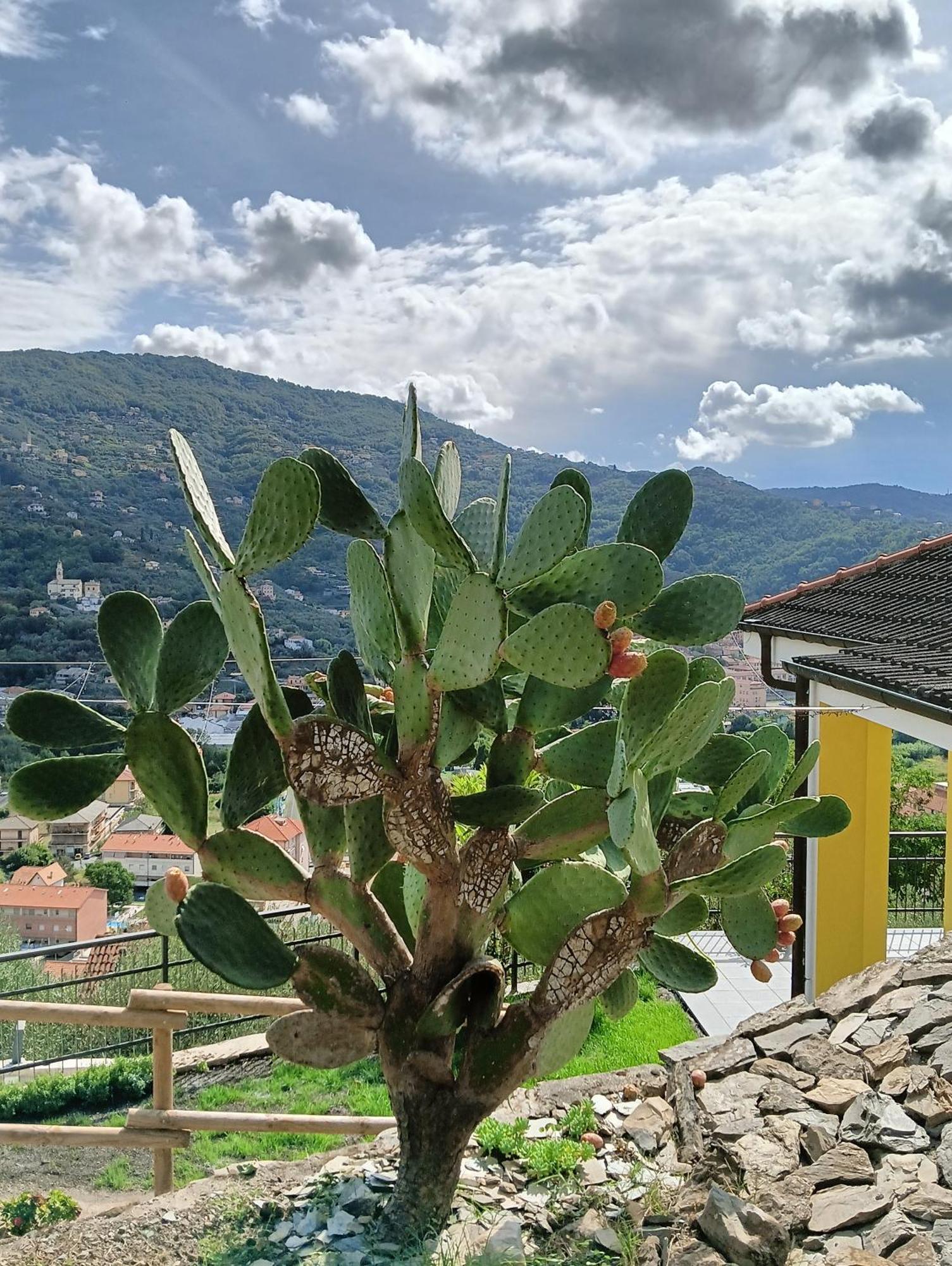 Vila Le Drupe Chiavari Exteriér fotografie